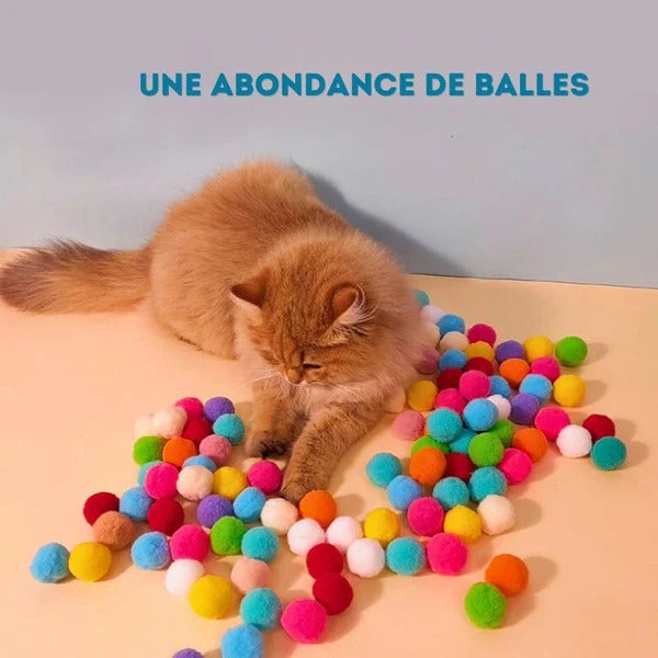 lanceur-balles-pompons-chat