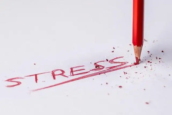 meest-voorkomende-oorzaken-stress-uitgelicht