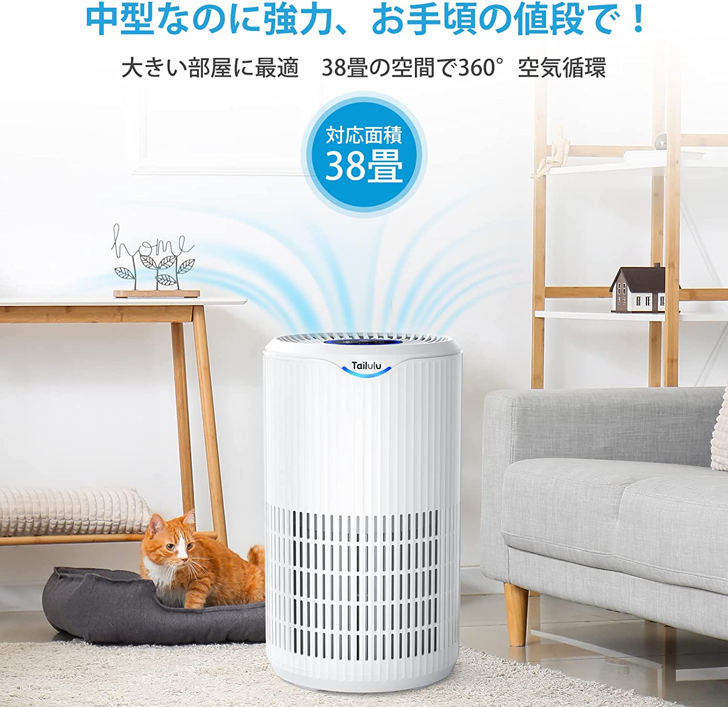 高級素材使用ブランド ☆節電&360°循環浄化 空気清浄機 - 静音・軽量