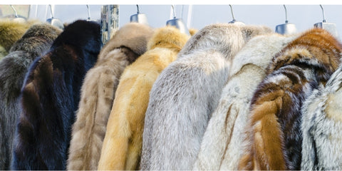 Quy trình sản xuất vải lông nhân tạo fur free