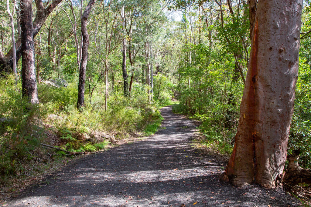 Platypus and Burraga Loop - Sydney Top Trail Running