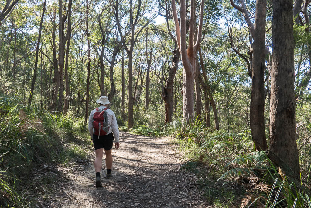 Middle Creek Loop - Sydney Trail Hiking Tracks