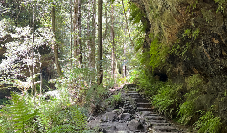 Grand Canyon Track - Sydney Trail Running Tracks