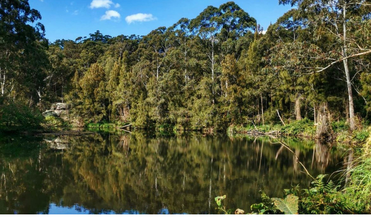 Top Trail running tracks Sydney - Lane Cove