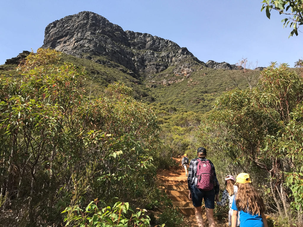 Bluff Knoll for kids