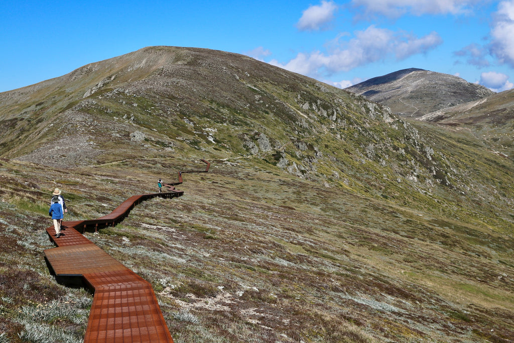 Mount Kosciuszko Summit Trail - Trail Running Sydney