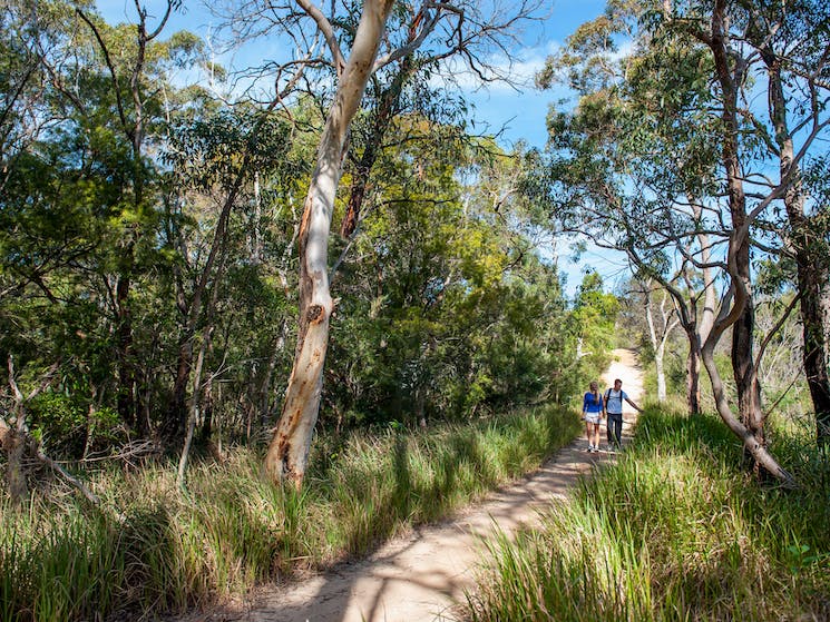 Manly Dam - Best Trail Running Tracks Sydney