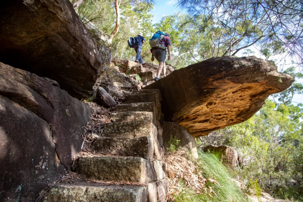 Berowra to Cowan - Sydney Trail Runs