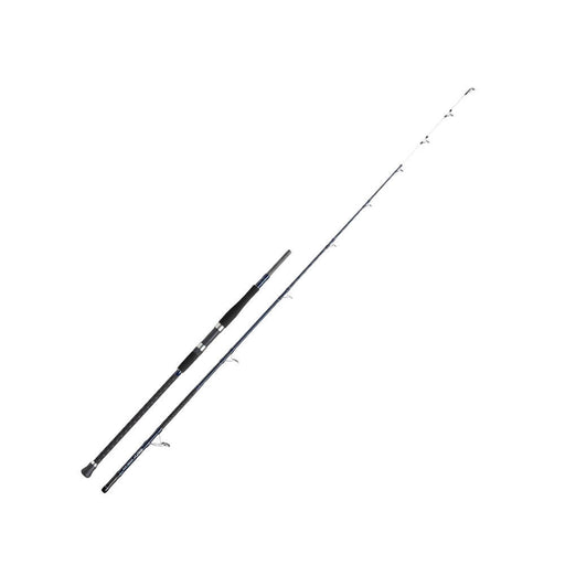 Shakespeare SALT Surfcasting Rod