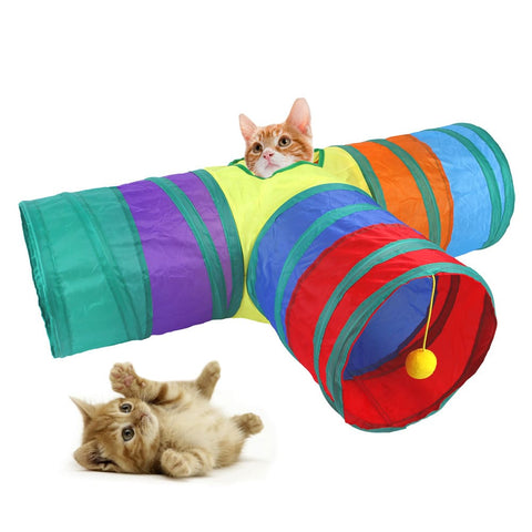 A imagem mostra dois gatos brincando no túnel