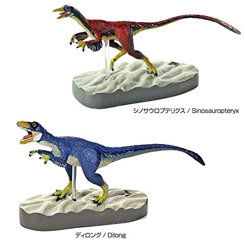 Colorata Discover Feathered Dinosaurs Premium Real figure box NEW from Japan_7