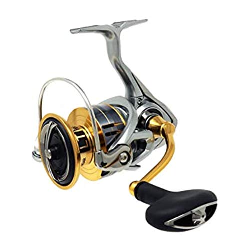 DAIWA Spinning Reel 21 FREAMS LT5000-CXH (2021 Model) NEW from Japan —  akibashipping