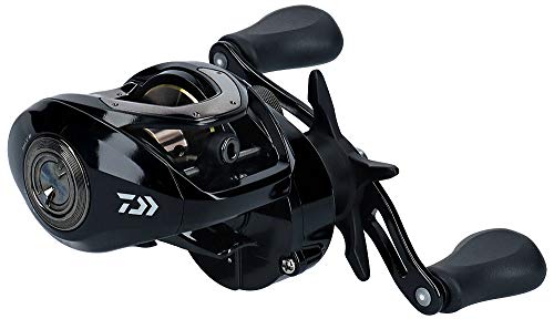 Daiwa Baitcasting Reel 19 Bass X 80 SH Right handle Fishing Reel