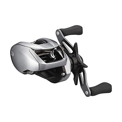 shopping discounts Daiwa 20Hrf Pe Sp 8.1L-Tw Left Handle/Bait  Reel/Daiwa/00613517