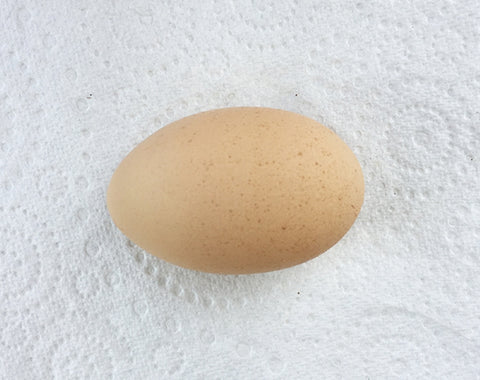Strange Chicken Egg