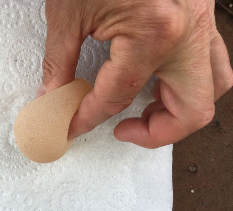 Flexible Egg Shell