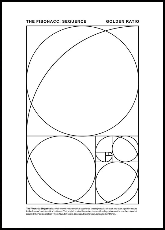 The Fibonacci Sequence Poster (40x50cm) - Posters > Typographic Posters, Abstract Posters, Black and White Posters