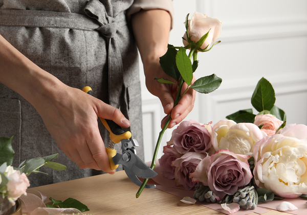 How to care for cut flowers