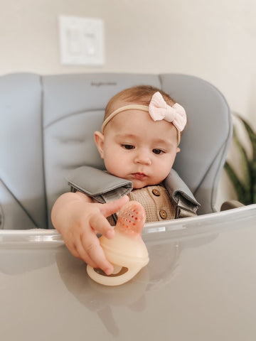 Our Guide To The Best Baby Fresh Food Feeder