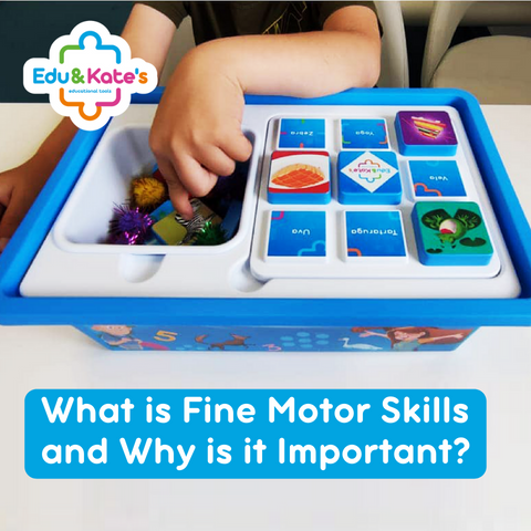 What is fine motor skills and why is it important?