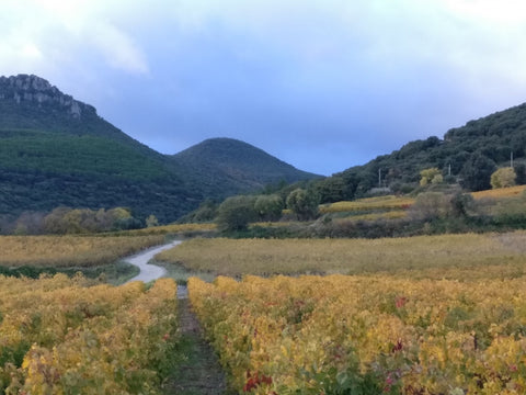 Balade du Mont St Baudile à Arboras