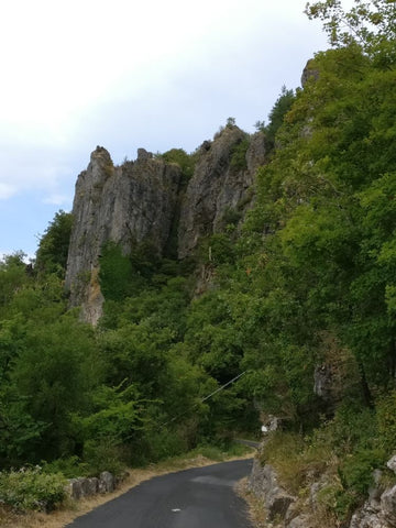 Balades en Languedoc - Le plateau de l'Escandorgue 