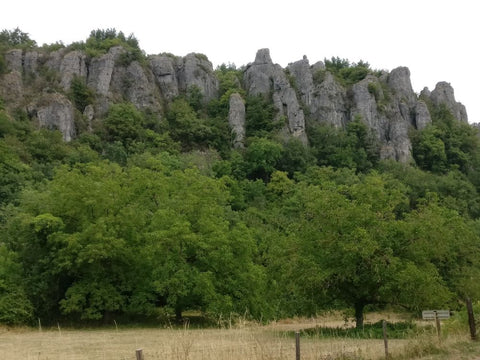 Balades en Languedoc - Le plateau de l'Escandorgue 