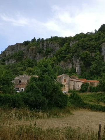 Walks in Languedoc - The Escandorgue plateau