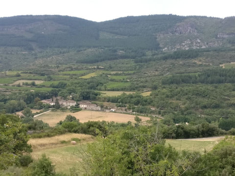 Walks in Languedoc - The Escandorgue plateau