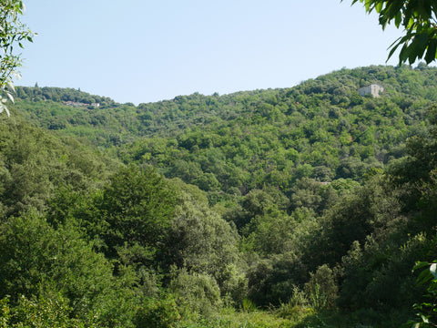 Cévennes, du côté de Sumène