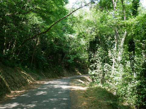 Cévennes, near Sumène