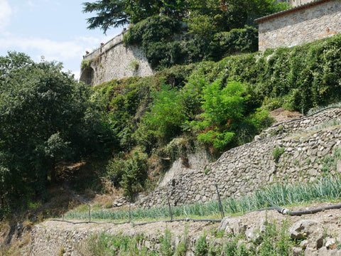 Cévennes, near Sumène