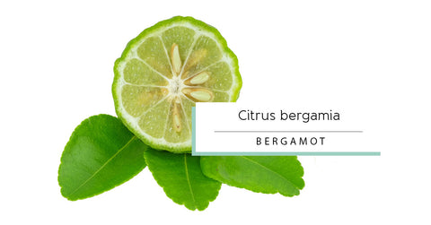 Bergamot essential oil