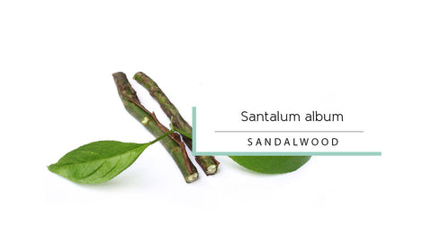 Sandalwood essential oil