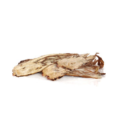 Learn about the uses and benefits of Angelica Root essential oil