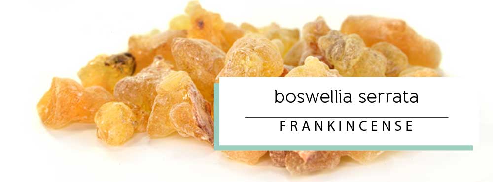frankincense essential oil profile and uses
