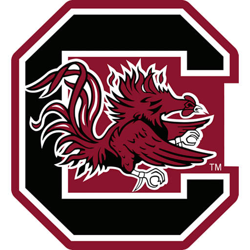 South Carolina University Tie Colors