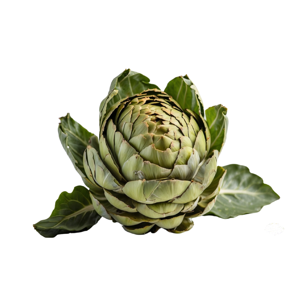 Artichoke_Leaf_Extract