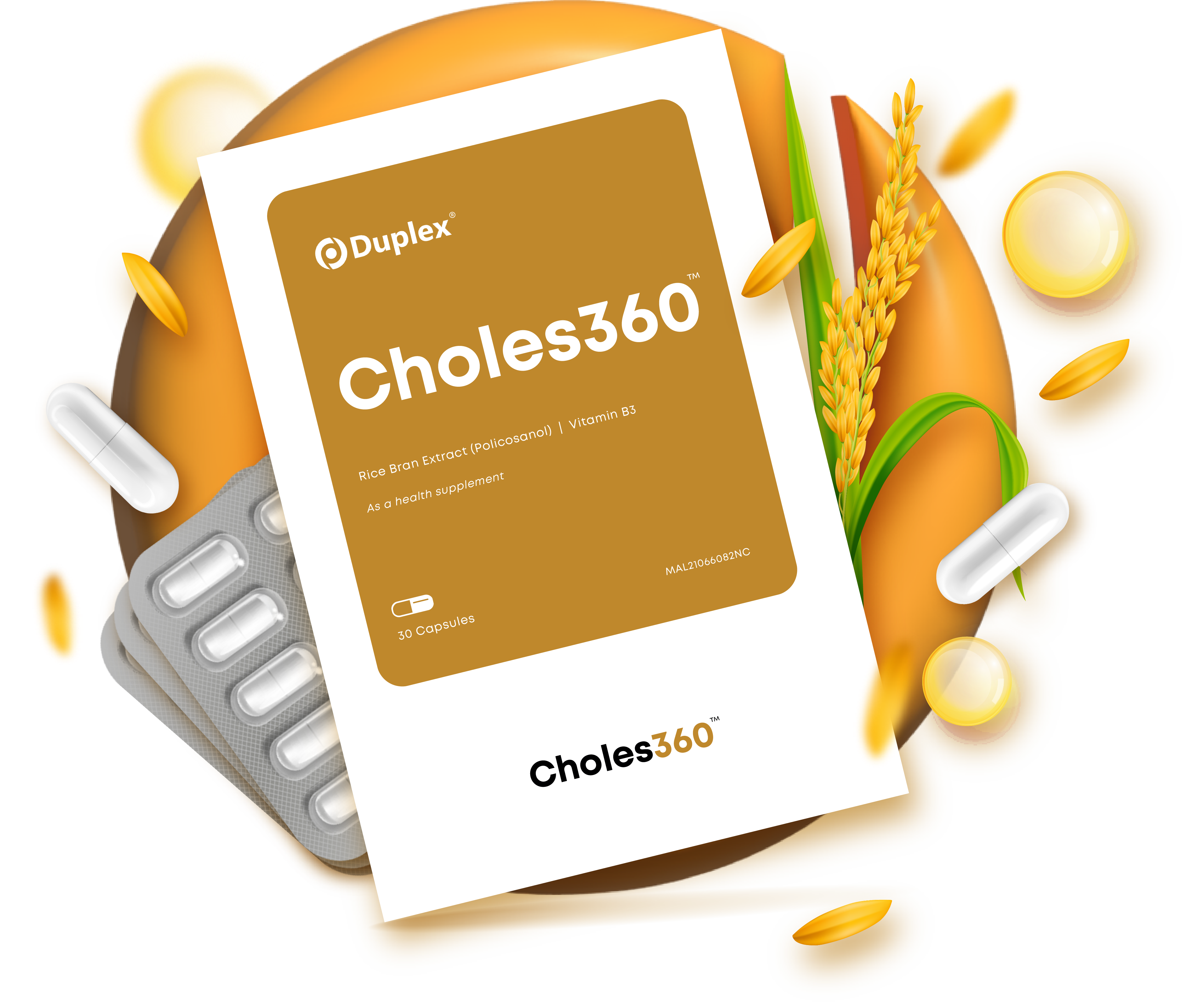 Choles360_Newconcept