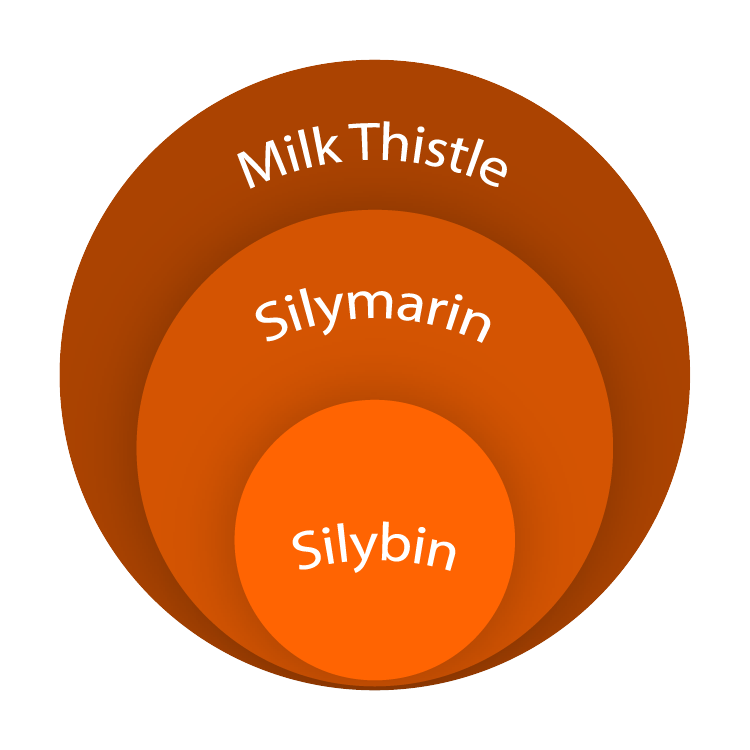 Silybin_vs_Silymarin-08