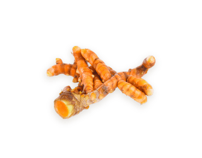 ingredient_Movt_OVO-15-min