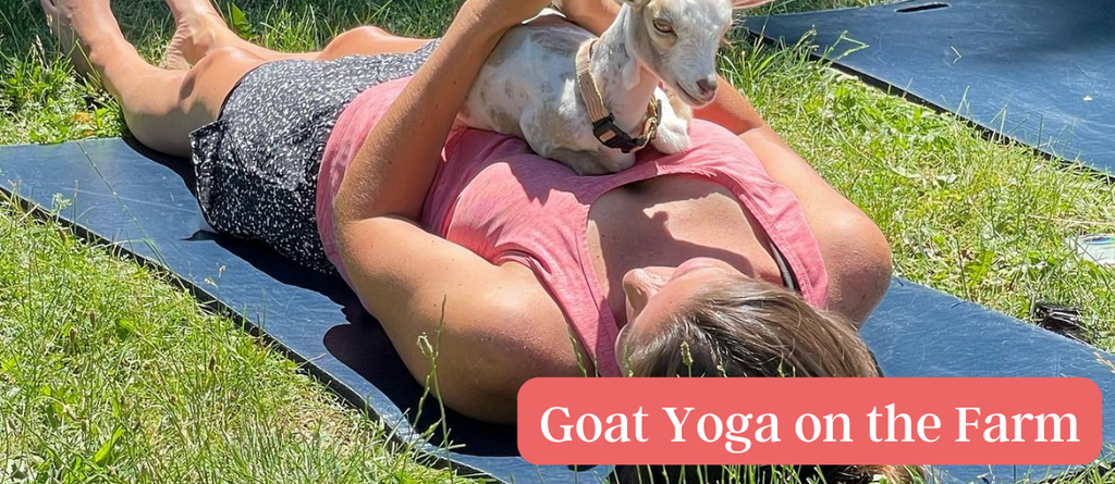 Honey Down Farm Goat Yoga