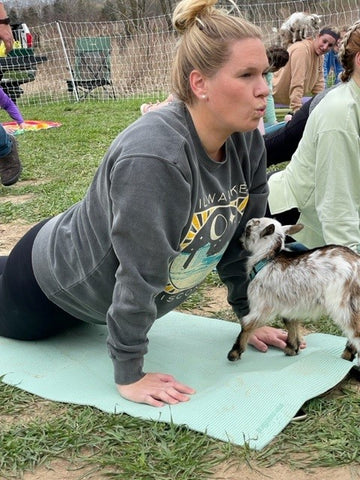 Women doing yoga with baby goats