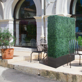 divider partition hedge wall