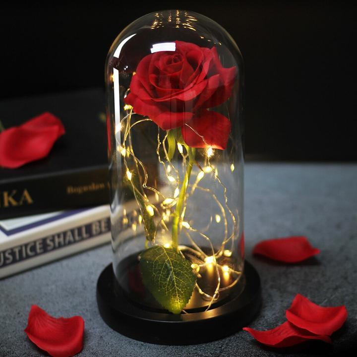 La Rose Éternelle - Sous Cloche Lumineuse - Cadeau Saint Valentin – Pretty  Roses