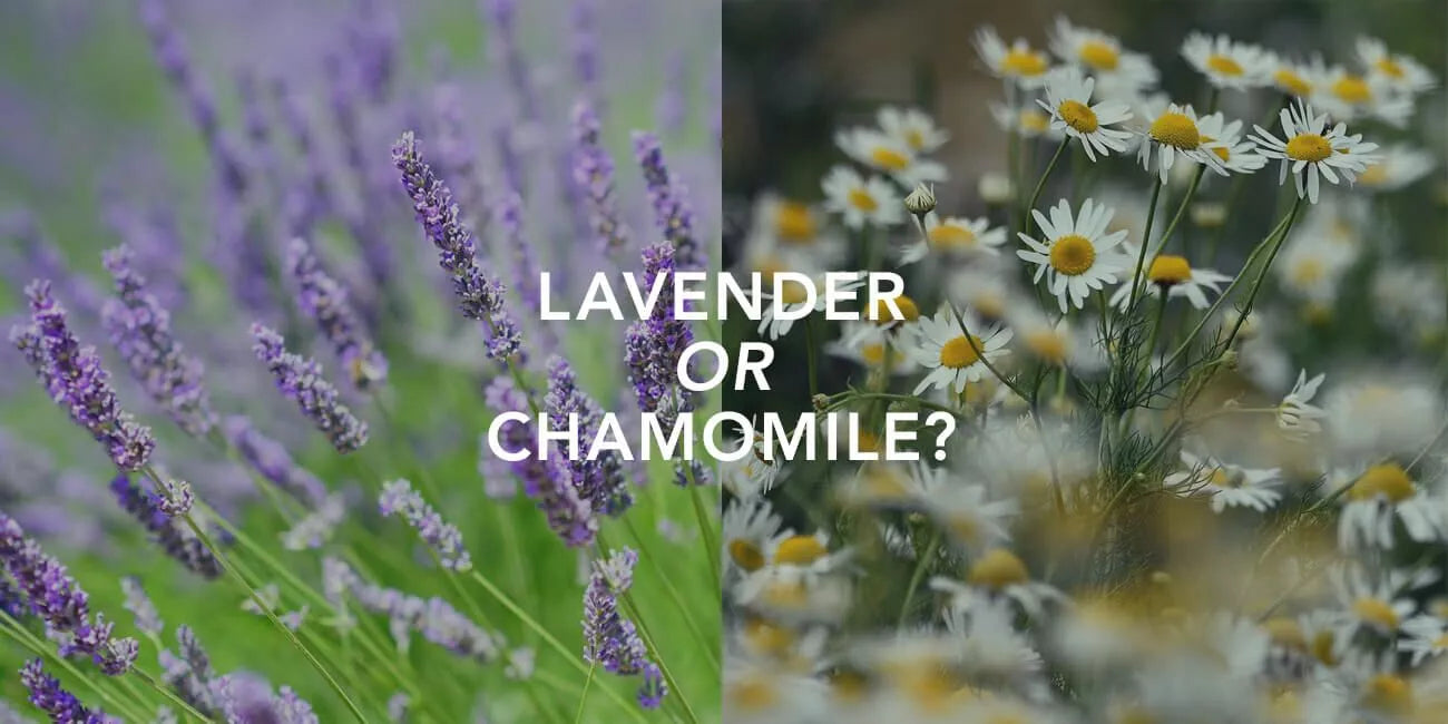 Lavender or Chamomile