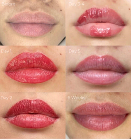 Lip Blushing Healing Stages