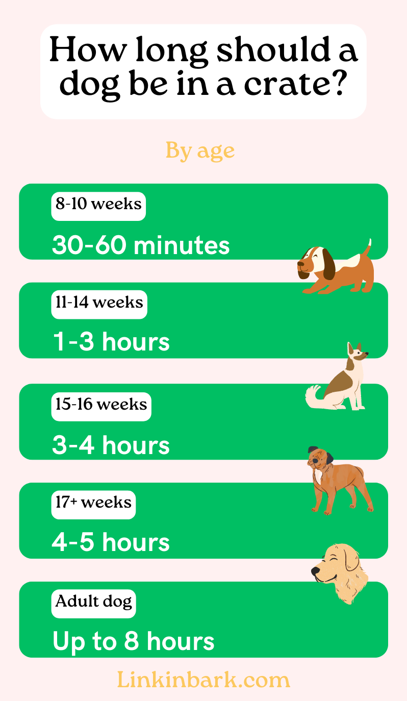 How Long Should You Leave a Dog in a Crate?