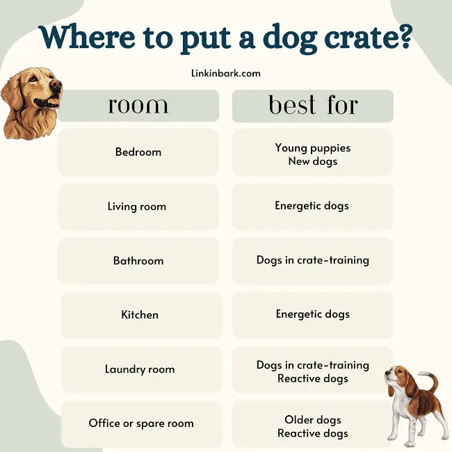 Where to put a dog crate