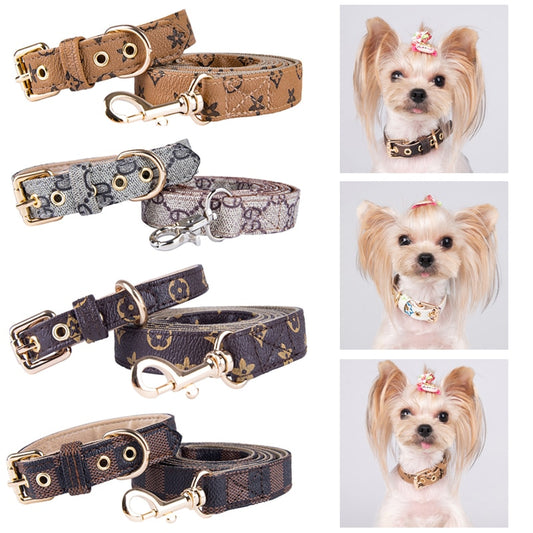 Louis Pup Leather Harness and Leash Set